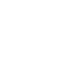 Kings Ford Academy logo